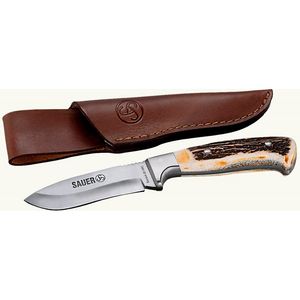 Sauer